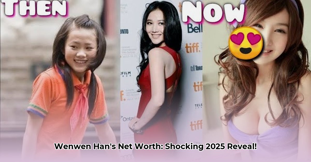 wenwen-han-net-worth
